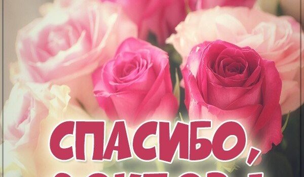 СПАСИБО, ДОКТОР! СПАСИБО, ДОКТОР!